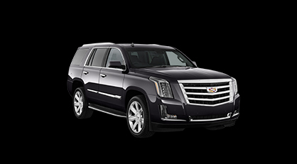 Blue Mountain Limousine