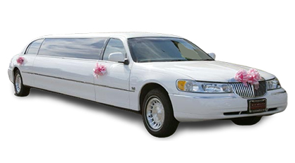 Blue Mountain Limousine