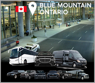 Blue Mountain Limousine