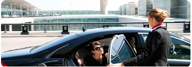 Blue Mountain Limousine