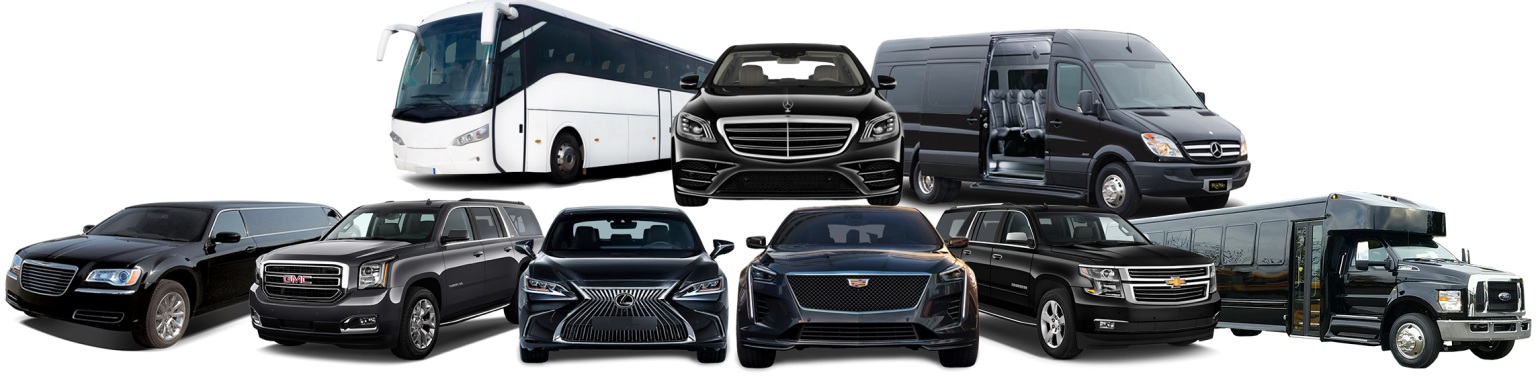 Blue Mountain Limousine